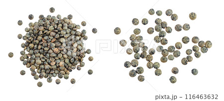 raw french green lentils isolated on white background with full depth of field 116463632