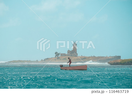ile au phare or Lighthouse island in Mauritius 116463719