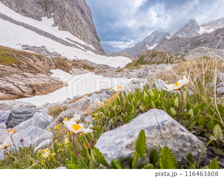 Hiking to Pointe de la Rechasse in National Park of Vanoise, France Alps 116463808