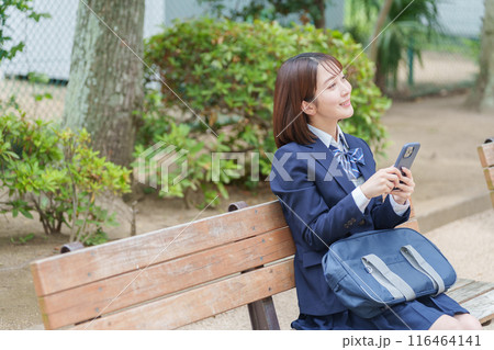 公園でスマホを使う女子高校生 公園でスマホを使う女子高校生 116464141