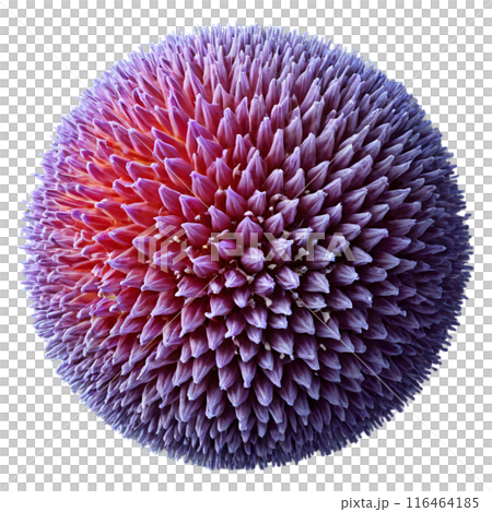 spherical virus on the alpha transparent background spherical virus on the alpha transparent background 116464185