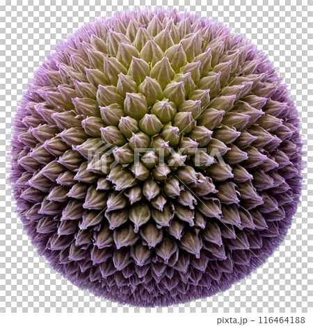 spherical virus on the alpha transparent background 116464188