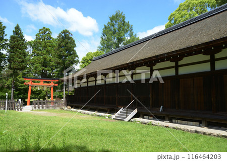 上賀茂神社　庁屋　京都市北区 116464203