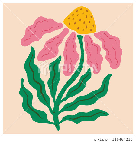 Abstract flower. Matisse minimal style. Hand drawn trendy botanical wall art. Abstract flower. Matisse minimal style. Hand drawn trendy botanical wall art. 116464210