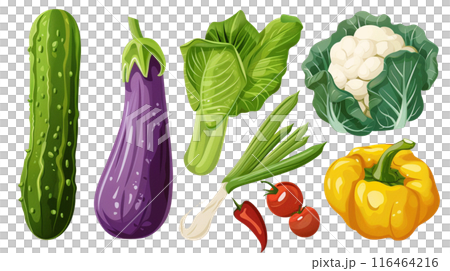 Illustration of various summer vegetables 116464216