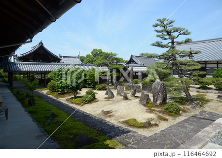 興聖寺 庭園 京都府宇治市 興聖寺 庭園 京都府宇治市 116464692