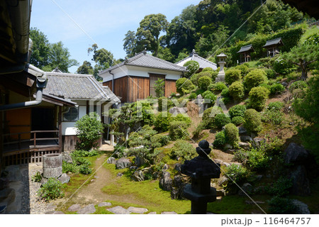興聖寺 法堂の北庭園 京都府宇治市 興聖寺 法堂の北庭園 京都府宇治市 116464757