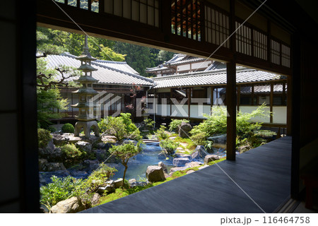 興聖寺 大方丈庭園 京都府宇治市 興聖寺 大方丈庭園 京都府宇治市 116464758
