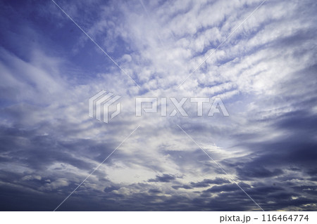 立秋の空　重なる様々な雲たち 116464774