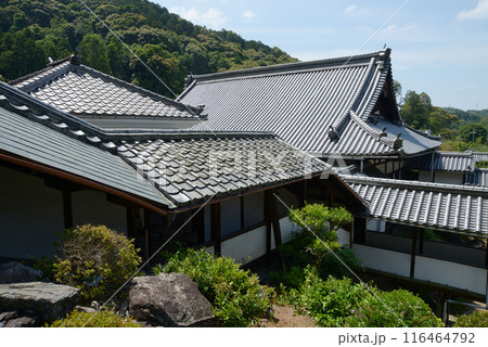 興聖寺 天竺殿から望む伽藍 京都府宇治市 興聖寺 天竺殿から望む伽藍 京都府宇治市 116464792
