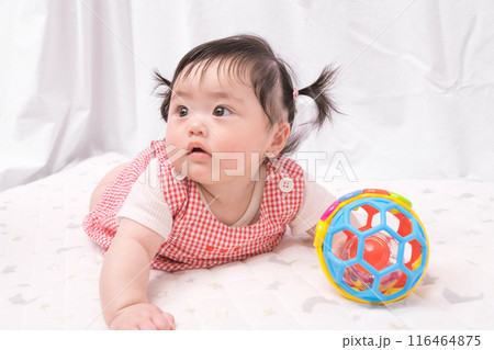 【はいはいを始めるツインテールの赤ちゃん】 【はいはいを始めるツインテールの赤ちゃん】 116464875