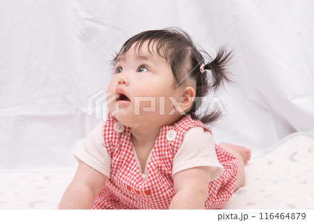【はいはいを始めるツインテールの赤ちゃん】 116464879