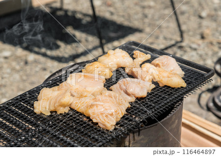 【オートキャンプ場でソロキャンプ 網で白モツを焼く】 【オートキャンプ場でソロキャンプ 網で白モツを焼く】 116464897