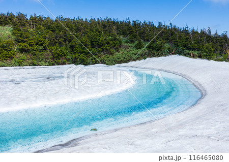 日本百名山 雪解けの八幡平 神秘的なドラゴンアイ(鏡沼) 日本百名山 雪解けの八幡平 神秘的なドラゴンアイ(鏡沼) 116465080