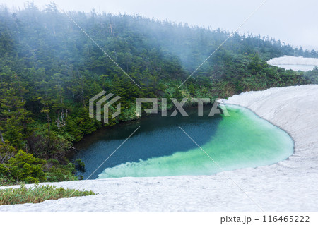 日本百名山　雪解けの八幡平　霧のメガネ沼 116465222