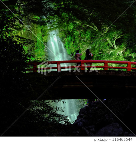箕面公園の滝　ライトアップ 116465544