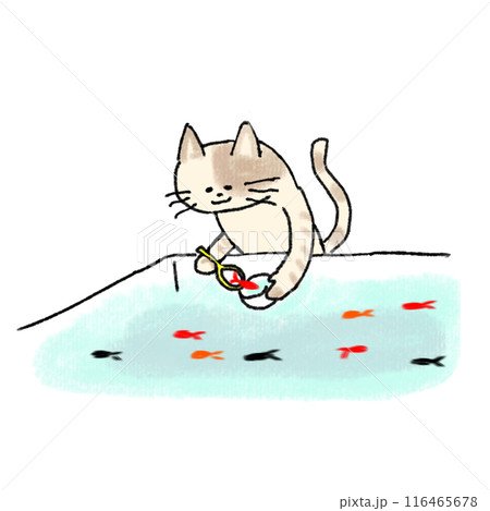 金魚すくいねこ 金魚すくいねこ 116465678