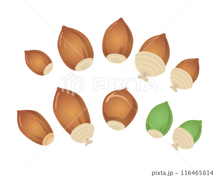 色々などんぐりセット グラデーションイラスト 色々などんぐりセット グラデーションイラスト 116465814