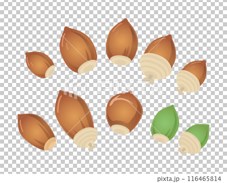 色々などんぐりセット グラデーションイラスト 色々などんぐりセット グラデーションイラスト 116465814