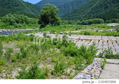 清津川　三俣付近　河原の風景　新潟県湯沢町　 116465866