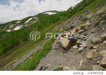 唐松岳登山道の景色 116465936