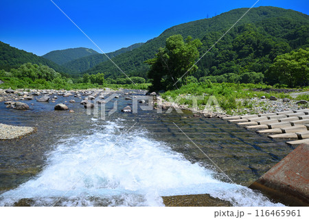 清津川 美しい山・川の風景 新潟県湯沢町 清津川 美しい山・川の風景 新潟県湯沢町 116465961