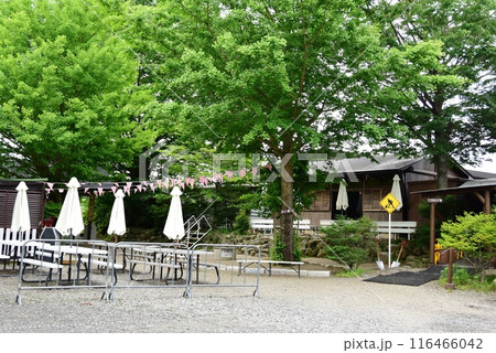 栃木県那須町　那須高原のトレジャーストーンパークと新緑 116466042