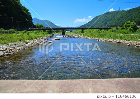 清津川 大島橋付近 山・川の風景 新潟県湯沢町 清津川 大島橋付近 山・川の風景 新潟県湯沢町 116466136