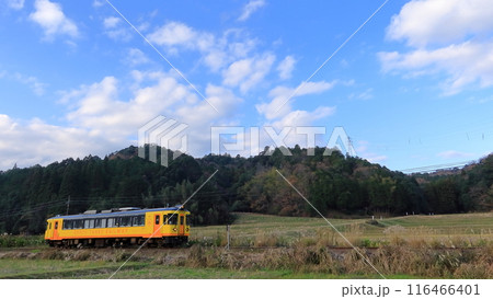 秋の田園を走るKTR700ディーゼルカー 116466401