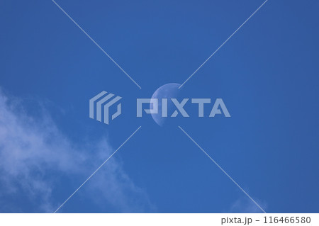 青空に月 116466580