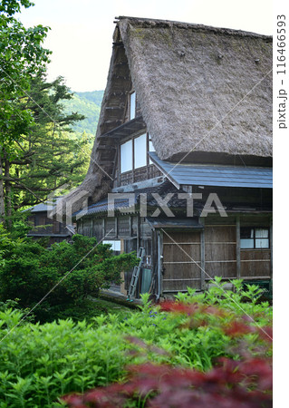 世界遺産 五箇山 相倉合掌造り集落 116466593