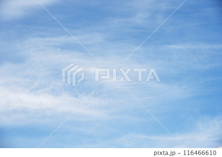 夏の空 青空 晴れ 空素材 【東京都】 116466610