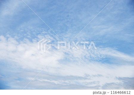 夏の空 青空 晴れ 空素材 【東京都】 夏の空 青空 晴れ 空素材 【東京都】 116466612