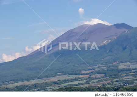愛妻の丘から見る浅間山 群馬県嬬恋村 愛妻の丘から見る浅間山 群馬県嬬恋村 116466650