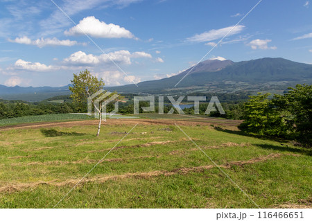 愛妻の丘から見る浅間山　群馬県嬬恋村 116466651