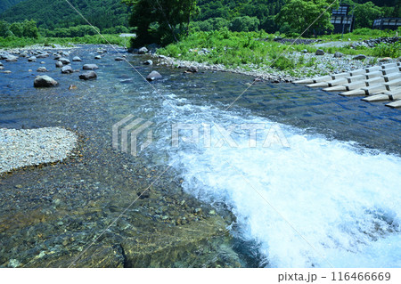 清津川　早瀬　川の風景　新潟県湯沢町　 116466669