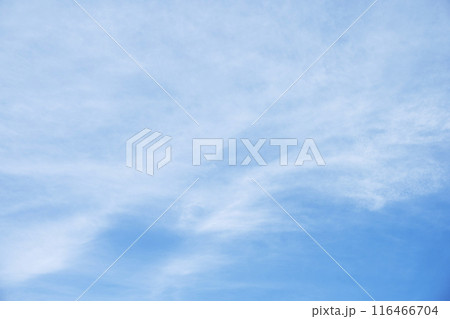 夏の空 青空 晴れ 空素材 【東京都】 116466704