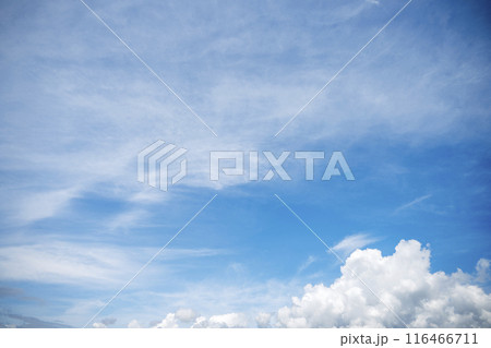 夏の空 青空 晴れ 空素材 【東京都】 夏の空 青空 晴れ 空素材 【東京都】 116466711