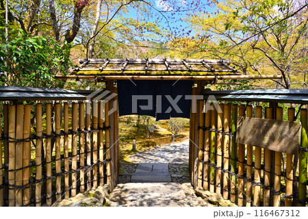 料亭の入り口 116467312