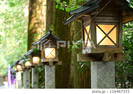 敢国神社の参道に並ぶ灯籠 116467355