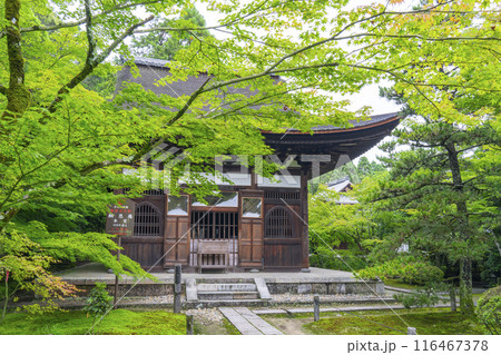 酬恩庵(一休寺) 青紅葉に包まれた本堂 酬恩庵(一休寺) 青紅葉に包まれた本堂 116467378