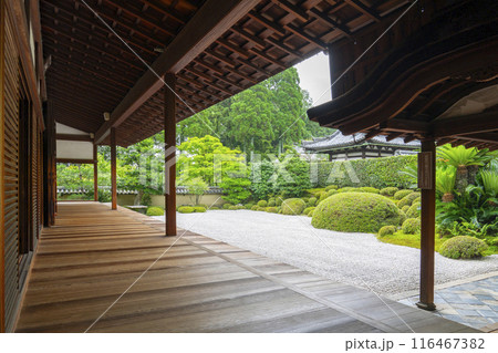 酬恩庵（一休寺）　方丈南庭 116467382