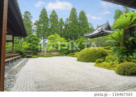酬恩庵（一休寺）　方丈南庭 116467383