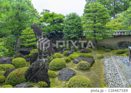 酬恩庵（一休寺）　方丈庭園 116467389
