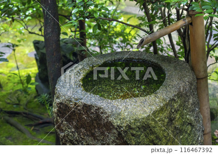 酬恩庵（一休寺）　方丈庭園　蹲踞 116467392
