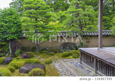 酬恩庵(一休寺) 方丈庭園 酬恩庵(一休寺) 方丈庭園 116467395