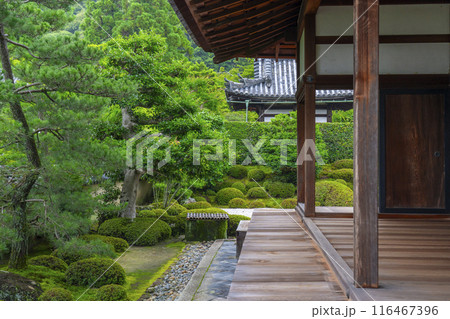 酬恩庵（一休寺）　方丈庭園 116467396