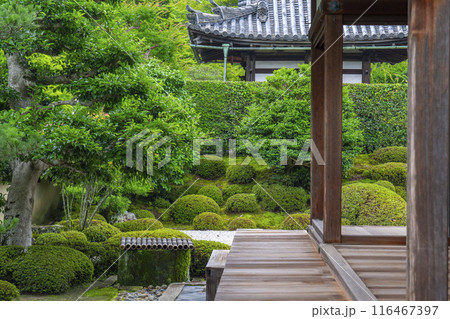 酬恩庵(一休寺) 方丈庭園 酬恩庵(一休寺) 方丈庭園 116467397