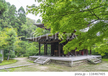 酬恩庵（一休寺）　青紅葉に包まれた開山堂 116467405