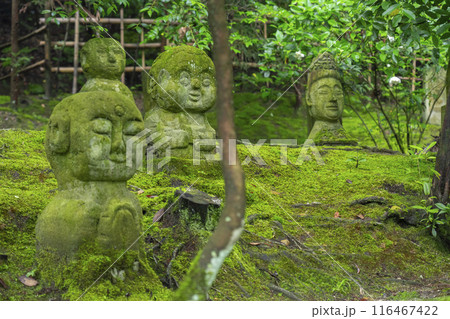 酬恩庵(一休寺) 20世紀の森 たくさんの羅漢像 酬恩庵(一休寺) 20世紀の森 たくさんの羅漢像 116467422